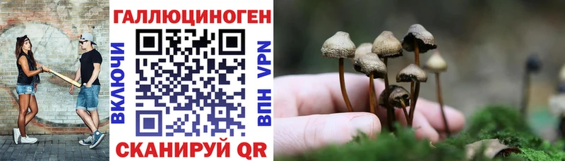 Псилоцибиновые грибы мицелий  Купить закладки  Дубовка 
